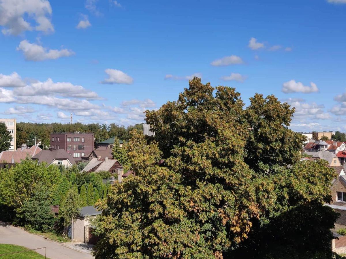 Centrinio Parko Apartamentai Šiauliai Kültér fotó